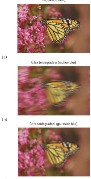 Gambar 3. Distorsi yang disebabkan oleh PSF  terhadap citra kupu-kupu. Keterangan gambar: (a) 