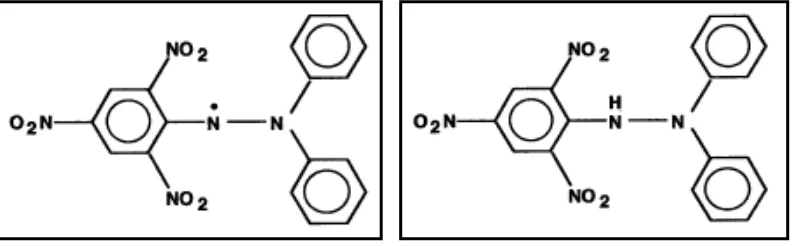 Gambar 4. Struktur DPPH (a) Radikal Bebas dan (b) Radikal Bebas yang Telah Bereaksi dengan Antioksidan (Molyneux, 2004) 