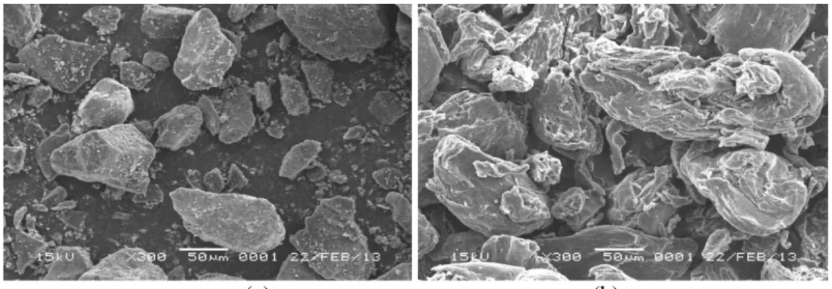 Gambar 2. Hasil Scanning Electron Microscope (SEM) karbamazepin (a) dan alginat (b) 