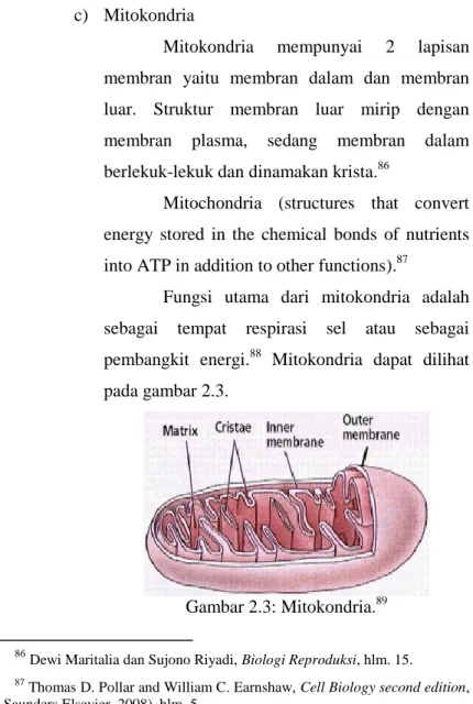 Gambar 2.3: Mitokondria. 89                                                            