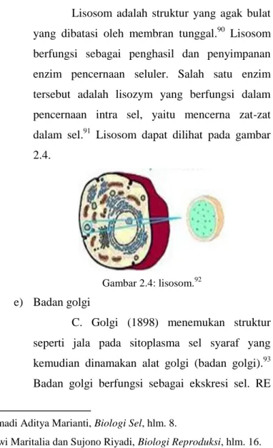 Gambar 2.4: lisosom. 92 e)  Badan golgi 