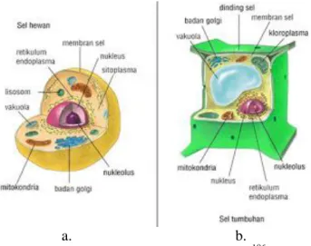 Gambar 2.10: a. Sel Hewan, b. Sel Tumbuhan 106