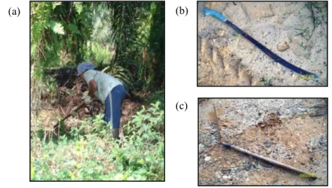 Gambar 1. Kegiatan Bongkar Tumbuhan Pengganggu  (a) SKU Mendongkel Anak Kayu Menggunakan Cados, (b) Parang,  (c) Parang Babat 