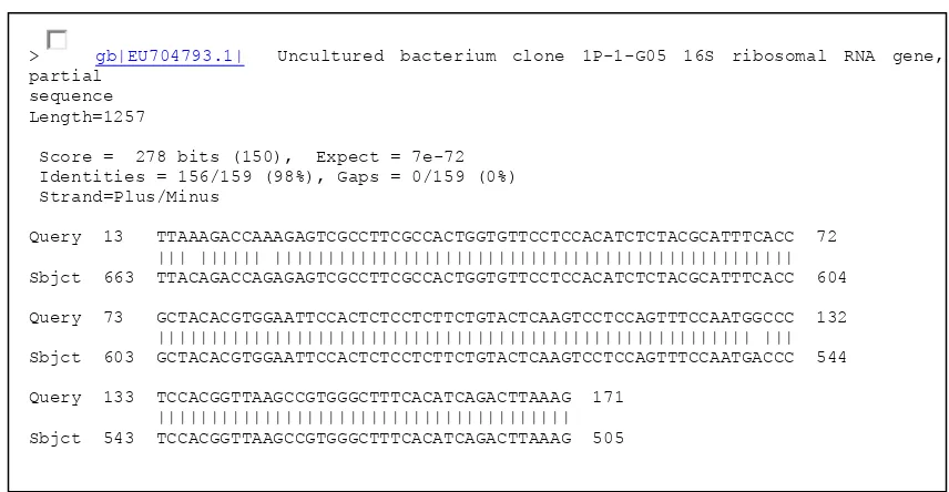 Tabel 8. Hasil penelusuran sekuen DNA isolat bakteri dengan sistem BLAST. 