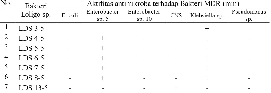 Tabel 1. Aktivitas Penghambatan Bakteri dari Cumi-cumi Loligo sp. terhadap                 Pertumbuhan Bakteri MDR  No
