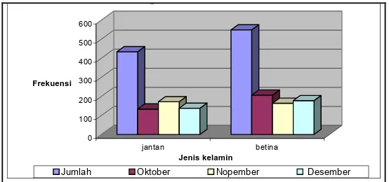 Gambar  10 Grafik Komposisi Jenis Kelamin D macrosoma  Hasil            sampling di PPN Pekalongan , Oktober – Desember 2004 