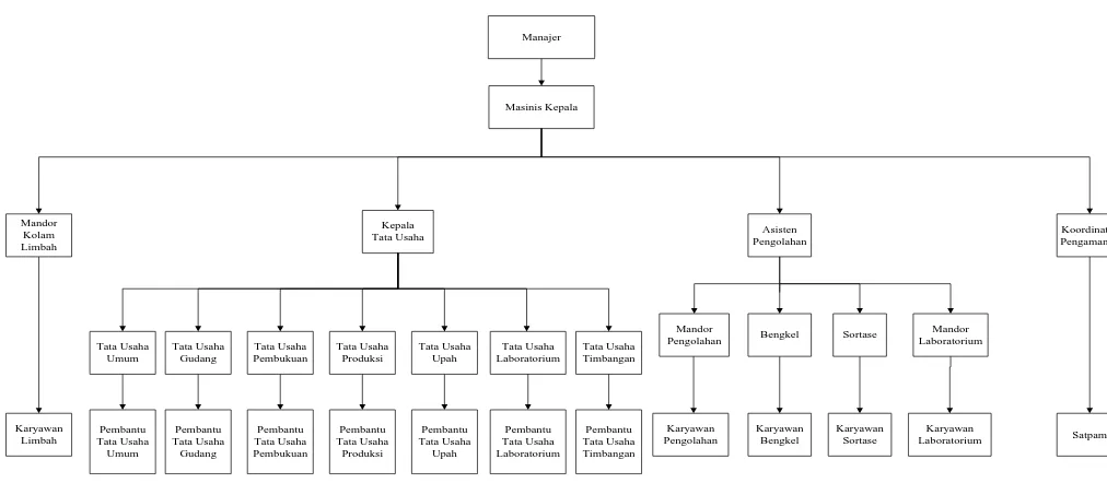 Gambar 2.1 Struktur Organisasi Pabrik Kelapa Sawit (PKS) PT. 