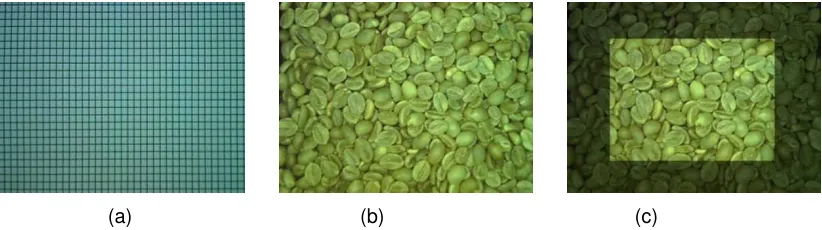 Figure 2. The example of image from robusta coffee bean for each grade. 