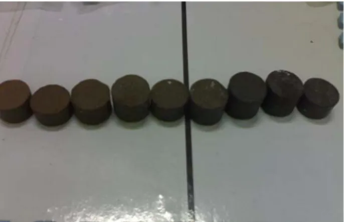 Gambar 5 Foto sampel hasil pengepresan yang dibuat  ada berbagai perbandingan massa clay/karbon