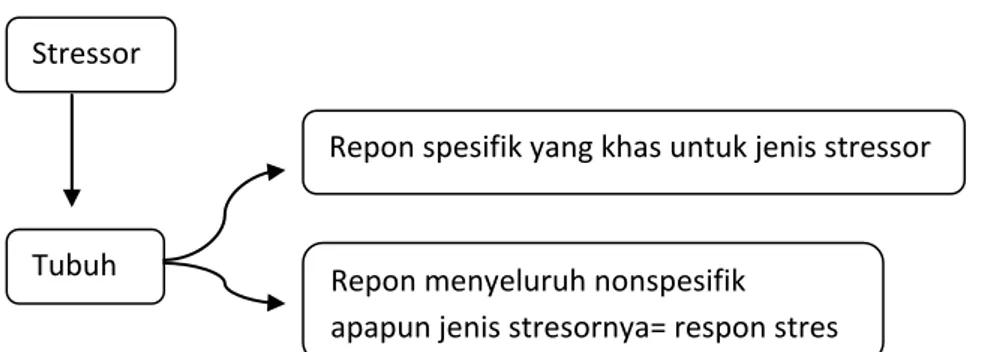 Gambar 2.1  Efek Stresor pada Tubuh (Sherwood, 2001) 