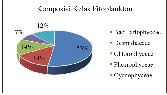 Gambar 1. Komposisi Kelas Fitoplankton di Perairan Pesisir Yapen Timur 