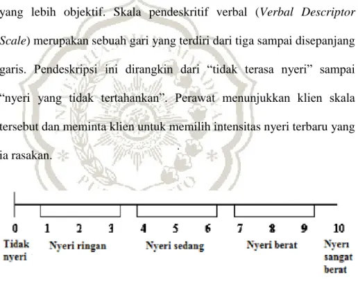 Gambar 2.1 Pengukuran Skala VDS (Potter &amp; Perry, 2006) 
