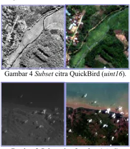 Gambar 4 Subset citra QuickBird (uint16). 