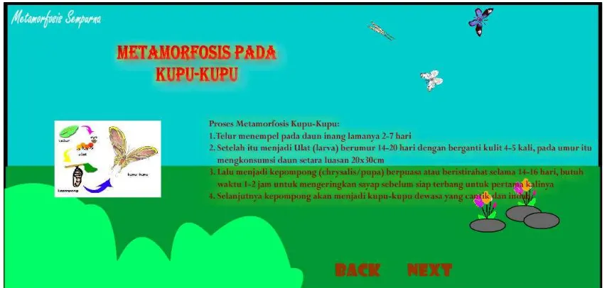 Gambar 4.4 Halaman Metamorfosis Pada Kupu-Kupu 