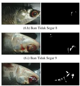 Tabel 2 diatas menunjukkan tingkat akurasi pengujan  sebesar  80%  dalam  mendeteksi  ikan  Bandeng  yang  tidak segar