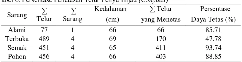 Tabel 6. Persentase Penetasan Telur Penyu Hijau (C.mydas) 