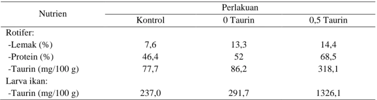 Tabel 3. Kandungan lemak, protein dan taurin rotifera, serta kandungan taurin pada larva ikan (bobot  kering) 