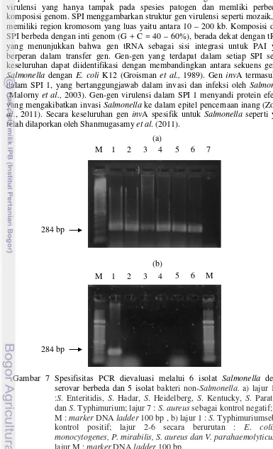 Gambar 7 Spesifisitas PCR dievaluasi melalui 6 isolat  