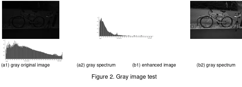 Figure 2. Gray image test 