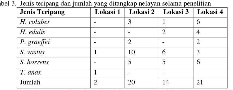 Tabel 3.  Jenis teripang dan jumlah yang ditangkap nelayan selama penelitian 