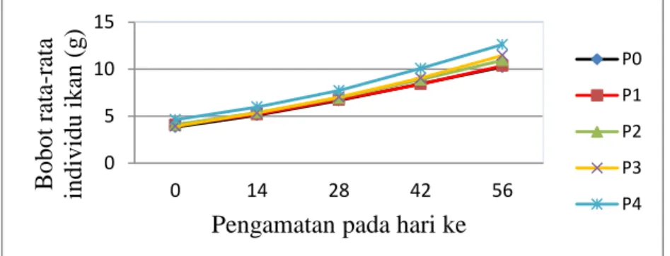 Gambar  1.  Perubahan  Bobot  Rata-rata  Individu  Ikan  Baung  Pada      Setiap  Perlakuan Selama Penelitian 