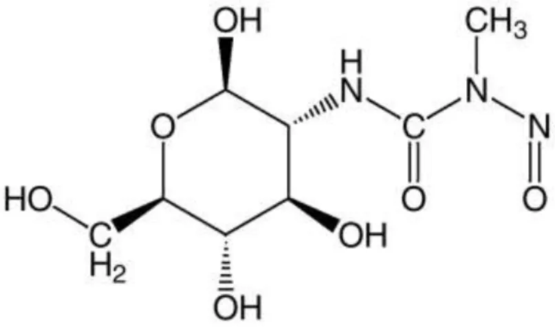 Gambar 4. Struktur kimia streptozotosin (STZ), (Wikipedia, 2018) 