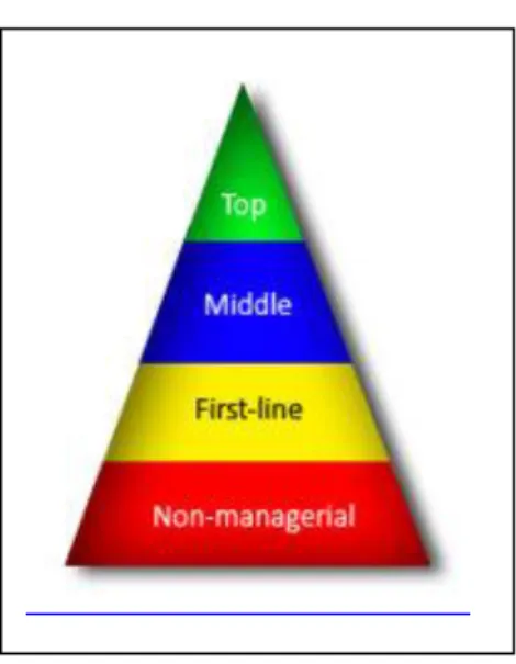 Gambar 2.2. Piramida Jumlah Karyawan Pada Organisasi Berstruktur Sederhana  (Sumber : James A.F