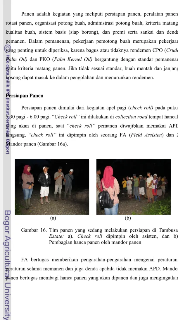 Gambar 16. Tim panen yang sedang melakukan persiapan di Tambusai    Estate:  a).  Check roll dipimpin oleh asisten, dan b)
