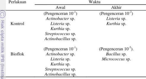 Tabel  1.  Hasil  identifikasi  bakteri  dalam  air  media  pemeliharaan  dan  pemijahan  ikan  nila  Oreochromis  niloticus  pada  perlakuan  kontrol  dan  BFT  pada  hari ke 1 dan ke 84