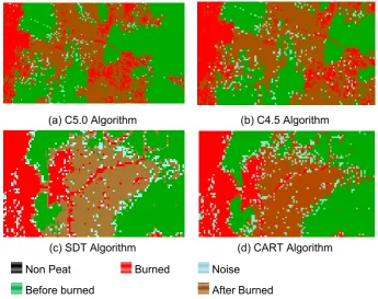 Figure 3. Image classification results were contaning noise around burned class and after burned class  