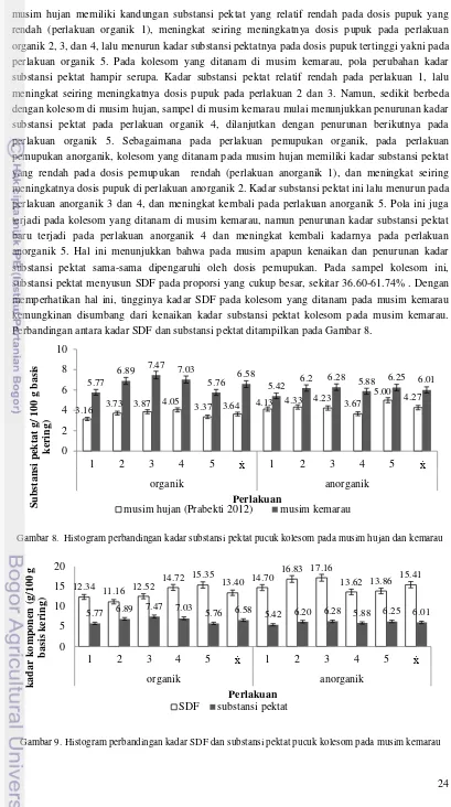 Gambar 8.  Histogram perbandingan kadar substansi pektat pucuk kolesom pada musim hujan dan kemarau 