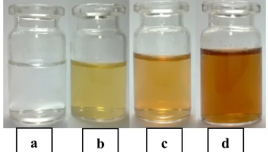 Gambar  2  merupakan  foto  perbandingan  antara  larutan AgNO 3 , Air rebusan daun bisbul dan campuran 