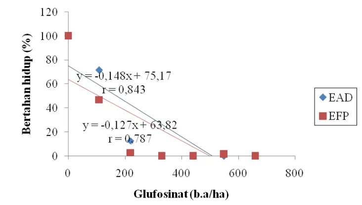 Gambar 4.  Grafik perbandingan  Eleusine indica yang bertahan hidup 3 MSA populasi EAD dan EFP pada glufosinat