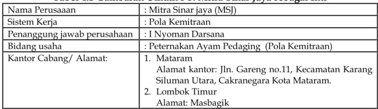 Tabel 4.1 Gambaran Umum PT. Mitra Sinar Jaya sebagai Inti  Nama Perusaaan  : Mitra Sinar jaya (MSJ) 