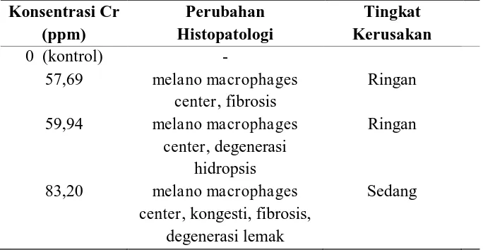 Tabel 4. Hasil pengamatan struktur mikroanatomi hati ikan nila setelah perlakuan kromium heksavalen 