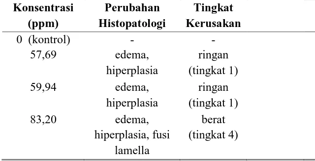 Tabel 3. Hasil pengamatan struktur mikroanatomi insang ikan nila setelah perlakuan kromium heksavalen 