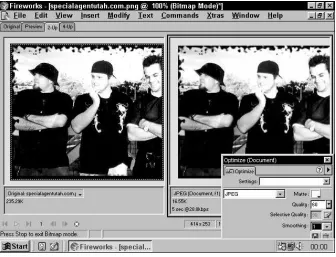 Figure 1-9: Quickly find the highest-quality image at the lowest possible size bycomparing your original image with an optimized version, right in the workspace.