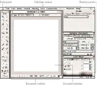 Figure 2-1: The Fireworks environment on both platforms includes menus, a toolbox, one or more document windows, and a complete set of floating panels.