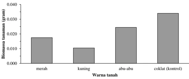 Gambar 6.  Rata-rata biomassa tanaman B. monoica umur 18 hari setelah akar tanaman menyentuh tanah 