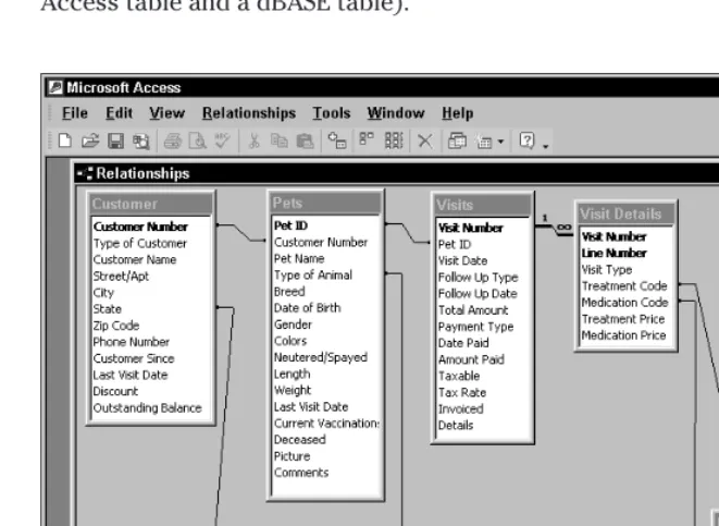 Figure 1-7: A relationship window