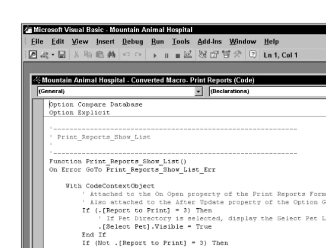 Figure 1-12: Creating a VBA program in the Development Environment