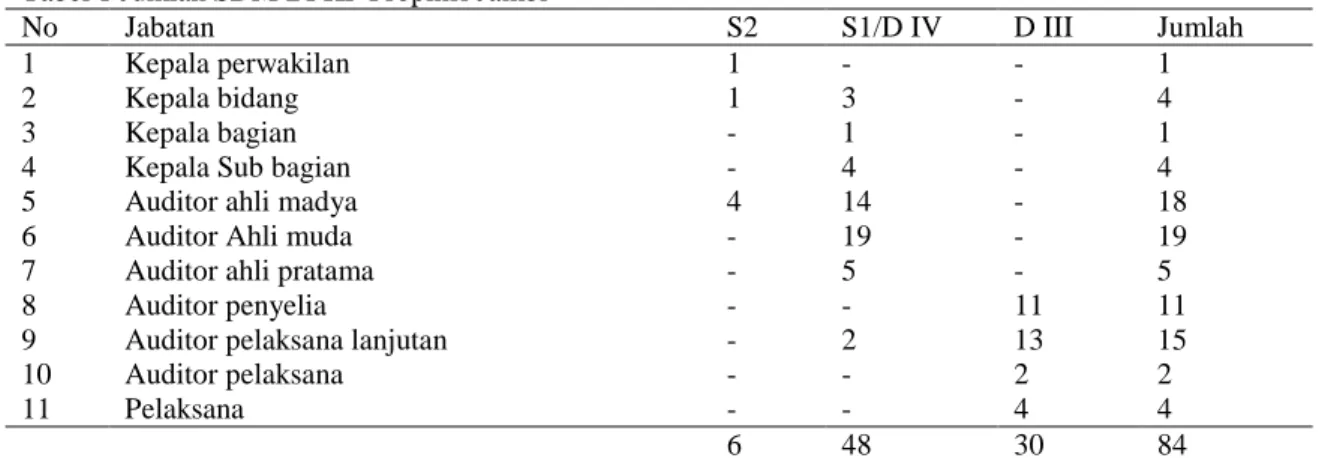 Tabel 1 Jumlah SDM BPKP Propinsi Jambi 