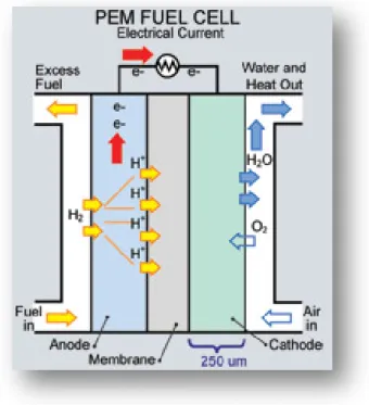 Gambar 2.1 Alur kerja Polymer Electrolyte Membrane (PEM) fuel cell. 