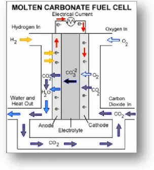 Gambar 2.5 Alur kerja Molten Carbonate Fuel Cell  (Sumber :  http://en.wikipedia.org/wiki/Molten_carbonate_fuel_cell) 