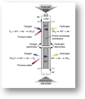 Gambar 2.7 Alur kerja Regenerative Fuel Cell  (Sumber :  https://www.llnl.gov/str/Mitlit.html)