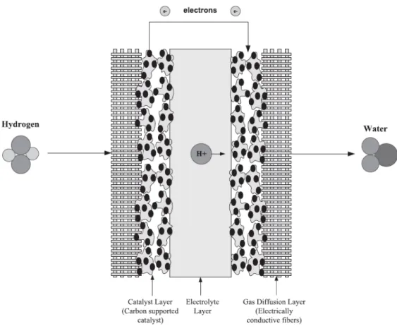 Gambar 2.8 Komponen - komponen Sel Bahan Bakar  (Sumber : Colleen Spiegel, 2008) 