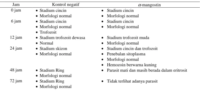 Tabel  1.   Perkembangan  stadium  dan  morfologi  P.  falciparum  (strain  3D7)  yang  diinkubasi  dengan  kontrol  negatif  dan  α -mangostin  pada  0,  6,  12,  24,  48  ,  dan  72  jam  ;  kemudian  dibuat  hapusan  tipis,  diwarnai  dengan  giemsa  da