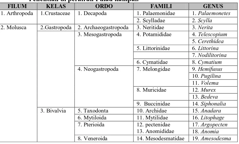 Tabel 3.1  Klasifikasi Makrozoobenthos yang Didapatkan pada Setiap Stasiun Penelitian di perairan Pulau kampai