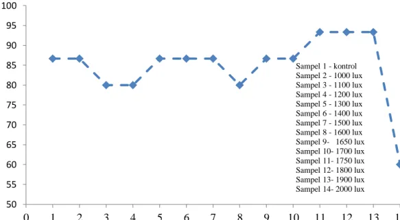 Gambar 5. Grafik prosentase hidup tanaman tomat fase pembibitan (0-8 hari) fungsi intensitas  Gambar 5, menyatakan persentase hidup tanaman tomat fase pembibitan fungsi intensitas