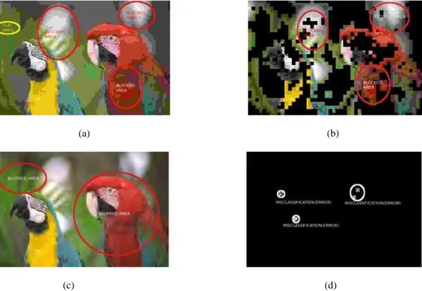 Gambar 5.(a) Gambar input pengetesan (diambil dari database gambar JPEG LIVE); (b) Hasil deteksi distorsi dari gambar (a); (c)  Gambar input pengetesan (diambil dari database gambar JPEG 2000 LIVE); (d) Hasil deteksi distorsi dari gambar (c); Pengetesan 